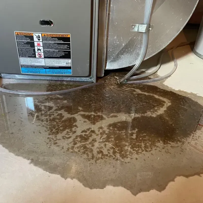 Appliance Leak Cleanup in Suwanee, GA